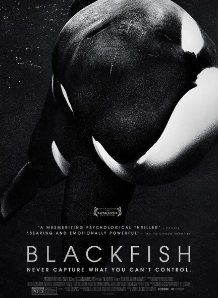 دانلود مستند ماهی سیاه 2013 Blackfish با زیرنویس فارسی