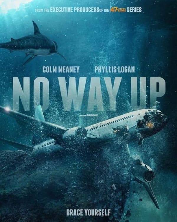 دانلود فیلم No Way Up راهی به بالا نیست با دوبله فارسی